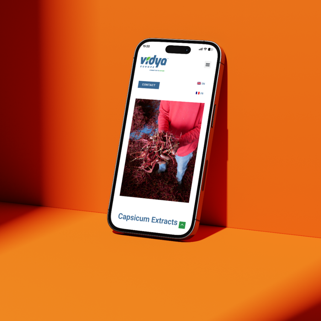 Charlotte Delarue - Vidya Europe