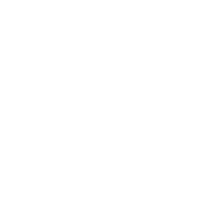 Logo Vidya Blanc