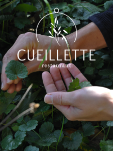 Portfolio - Cueillette - Charlotte Delarue